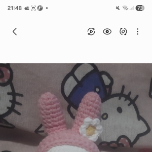 Meus álbuns