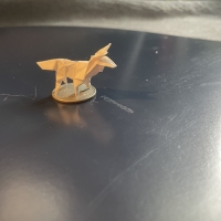 Tiny coyote