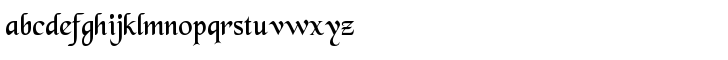 13487095304649_lower.png