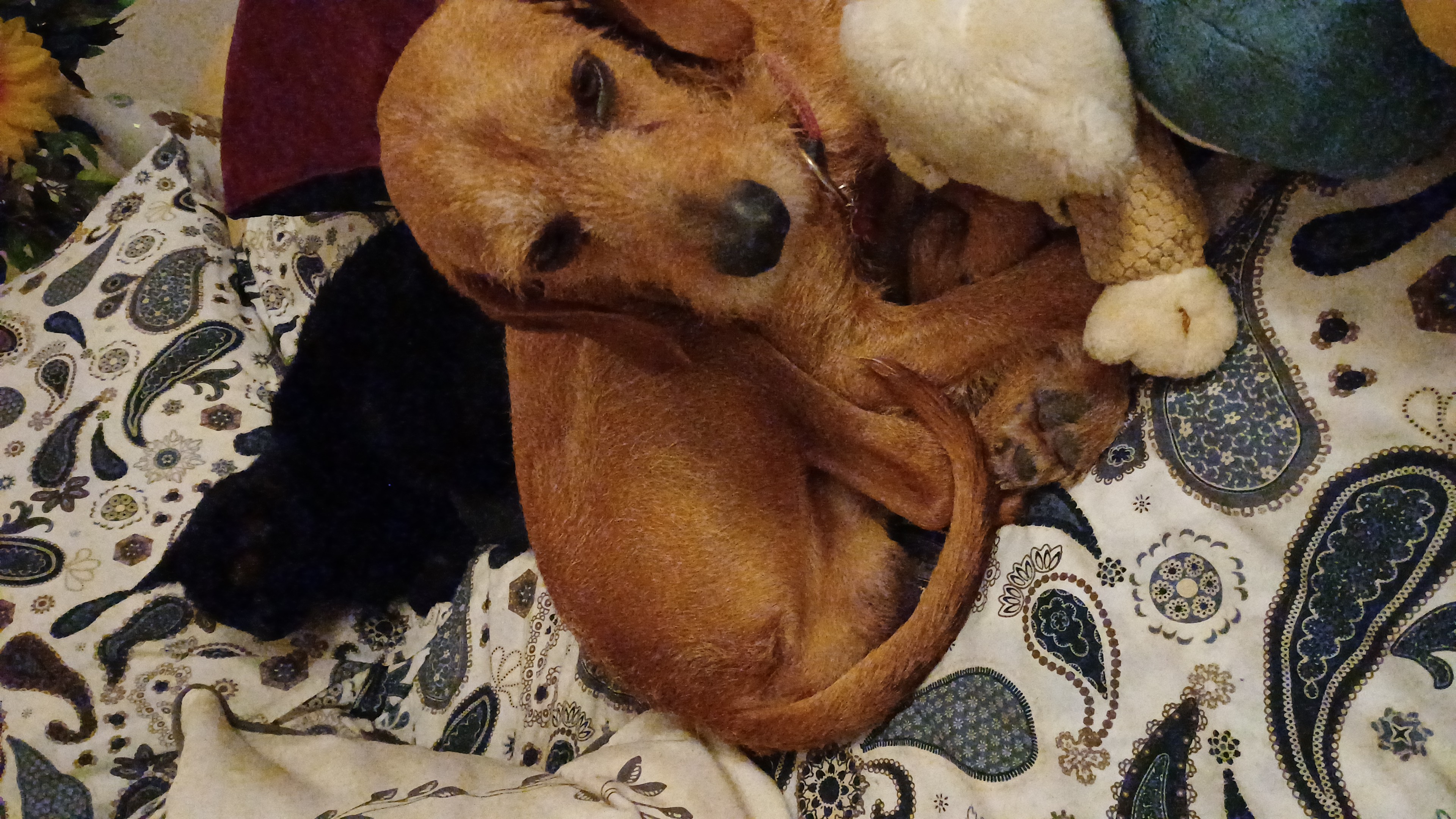 IMG-20260110-WA0006.jpeg