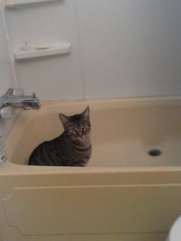 032521mr6l9h0q5h7qqthl.jpg