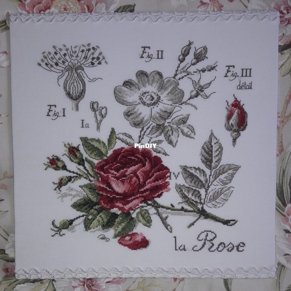 100833u2uez9zocouez3cm.jpg