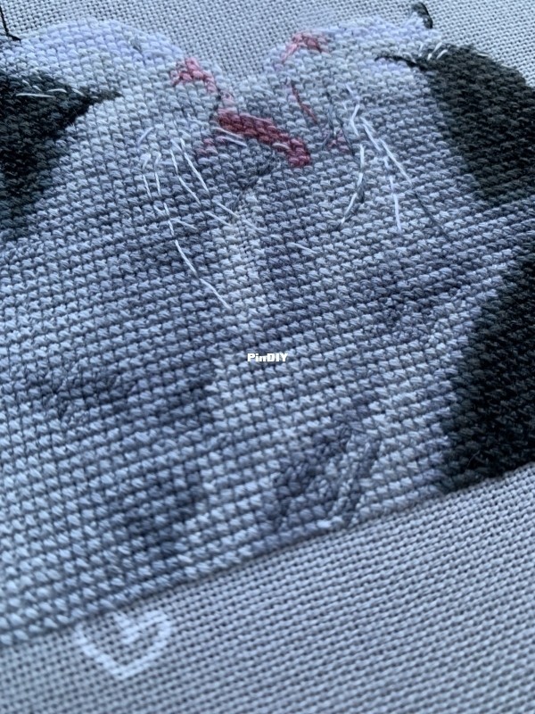 081844axluthl1xldzz7uq.jpeg