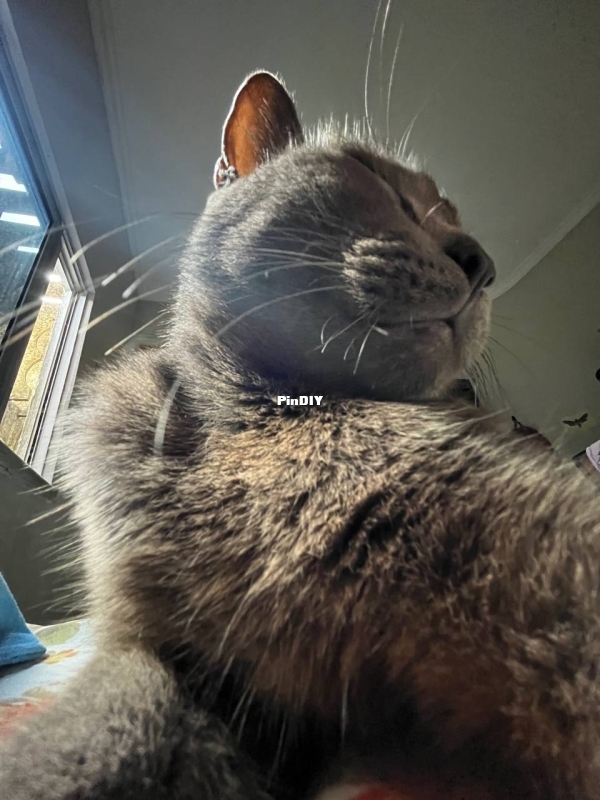 photo_4907185661543558638_y.jpg