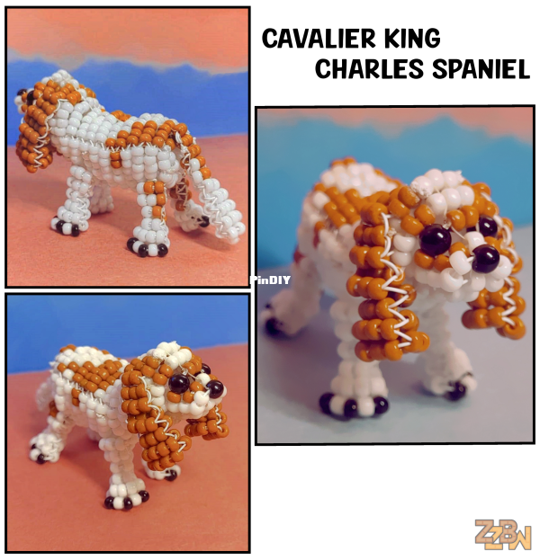 New_KC_collage.png