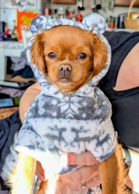 Gingers pic of the day!!