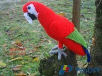 Parrot