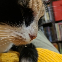 My sleepy, drooly girl