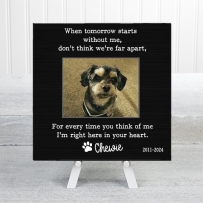 In memory of Chewie