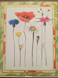 Stitch Marjolein Bastin Flower
