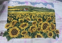 Sunflowers